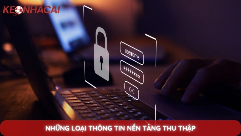 Chính sách bảo mật 2 Những loại thông tin nền tảng thu thập
